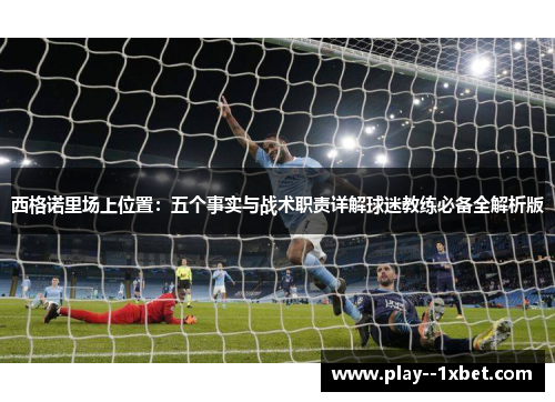 西格诺里场上位置：五个事实与战术职责详解球迷教练必备全解析版